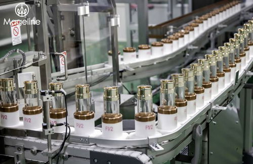 麥吉麗堅守安全品質，參與制定化妝品無汞化團體標準，推動品牌管理升級