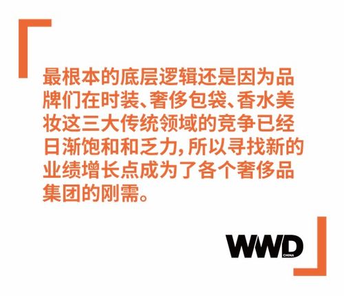 軟奢品牌跨界硬奢 品牌管理中的機遇與挑戰